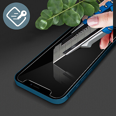 Force Glass Film pouriPhone 12 Mini Verre Organique Anti-espion pas cher