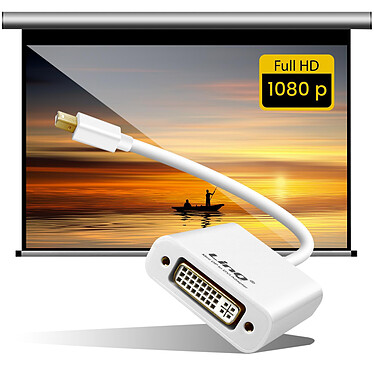 Avis LinQ Adaptateur Mini DisplayPort vers DVI pour Écran et Moniteur, Full HD 1080p