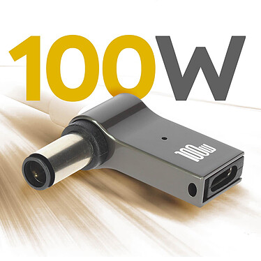 Acheter Avizar Adaptateur de Charge USB-C  100W vers Ordinateur Portable DELL 7.4 x 0.6mm, Gris