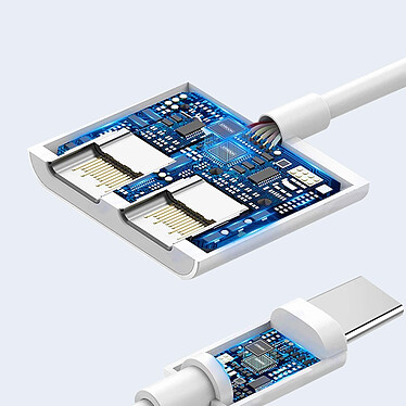 Acheter Avizar Adaptateur USB-C Mâle vers Double USB-C Femelle Audio et Charge Compact  Blanc