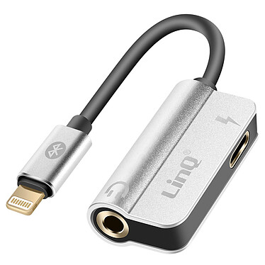 LinQ Câble adaptateur Charge + Audio pour iPhone Argent