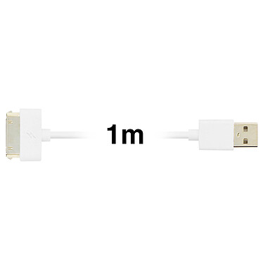 Avis Inkax Câble 1m USB Compatible iPhone iPad iPod 30-broches 2.1A  Charge