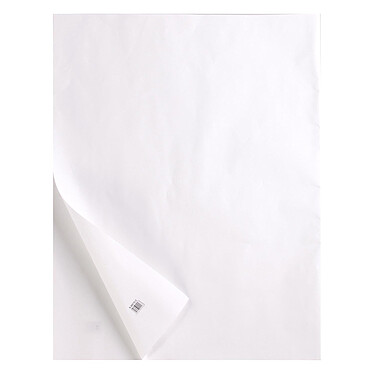 CLAIREFONTAINE Rame de 10 feuilles de papier calque 400g A4 transparent