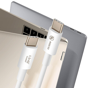 LinQ Câble USB C vers USB C 100W 1.8m pour Ordinateur Portable / MacBook Blanc pas cher