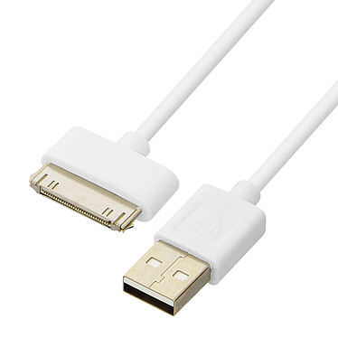 Inkax Câble 1m USB Compatible iPhone iPad iPod 30-broches 2.1A  Charge