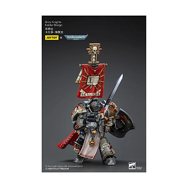 Warhammer 40k - Figurine 1/18 Grey Knights Kaldor Draigo 12 cm pas cher