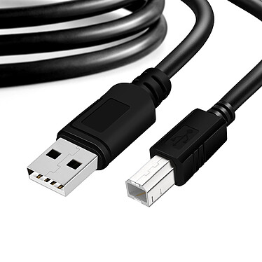 Avizar Câble USB-A 2.0 vers USB-B 2.0 Transfert haute vitesse 480 Mbps 3m  Noir