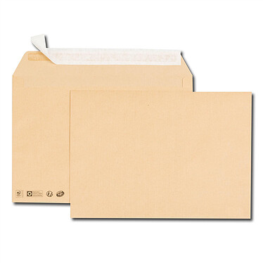 GPV Boîte de 250 enveloppes kraft brun C4 229x324 90 g/m² bande de protection