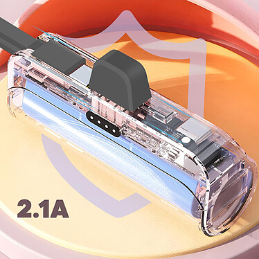 Acheter LinQ Batterie de Secours 6000mAh Double Connectivité USB C et Lightning  Noir