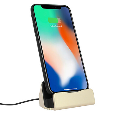 Avizar Station d'accueil iPhone Charge & Synchronisation connecteur Lightning - Or