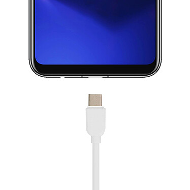 Acheter Avizar Câble USB type C vers USB Smartphone Tablette Charge & Synchro 1 m - Blanc