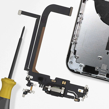 Acheter Clappio Connecteur de Charge Lightning et Micro pour iPhone 13 Pro Max Noir