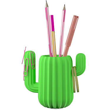 Avis Cactus, Pot à crayon organiseur