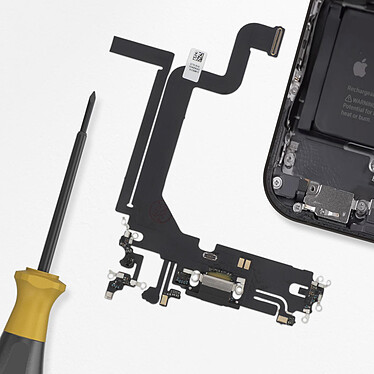 Acheter Clappio Connecteur de Charge pour iPhone 14 Pro Max, Port Lightning + Micro Noir