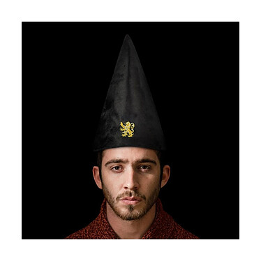 Acheter Harry Potter - Chapeau Gryffindor 32 cm