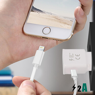 Acheter Avizar Câble USB-C vers USB-C et Lightning et Chargeur Magnétique Intensité 2A  Blanc