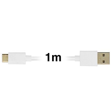 Avis Inkax Câble USB vers USB type C 2.1A  Câble 1m Charge rapide et sécurisée