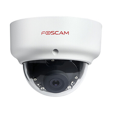 Foscam - D2EP - Camera IP dôme anti-vandalisme IR 20m - 1080p