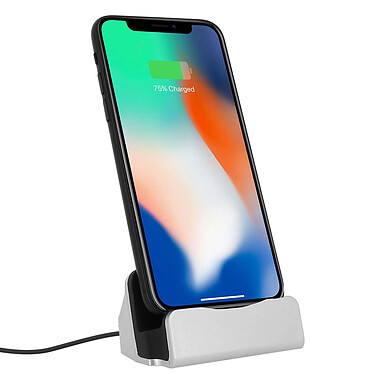 Avizar Station d'accueil iPhone Charge & Synchronisation connecteur Lightning - Argent