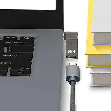 Avis Avizar Adaptateur de Charge USB-C  100W vers Ordinateur Portable HP 7.4 x 0.6mm, Gris