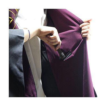 Harry Potter - Robe de sorcier Gryffindor  - Taille XL pas cher