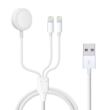 Avizar Câble USB vers 2x Lightning et Chargeur Magnétique Intensité 2A  Blanc