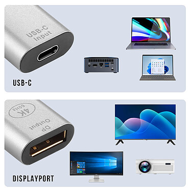 Acheter Avizar Adaptateur USB-C femelle vers DisplayPort femelle 4K Design Compact  Argent