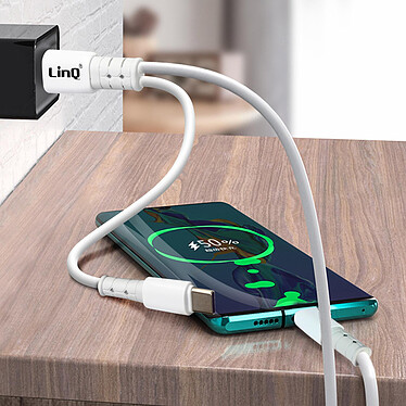 Acheter LinQ Câble USB / USB-C vers USB-C 60W Charge et Synchro Longueur 1,2m  Blanc