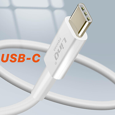 Acheter LinQ Chargeur Mural 108W Port USB C Power Delivery Port USB Câble 2m  Blanc