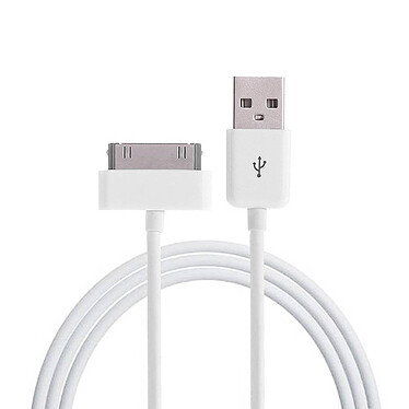 Acheter Avizar Chargeur secteur + Câble Compatible iPod iPad Iphone 30-broches - Blanc