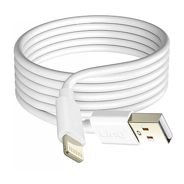 LinQ Câble USB vers Lightning 2m de Long Charge et Transfert de Données Blanc