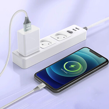 Avis LinQ Câble USB vers Lightning Nylon Tressé 1.5m Charge et Transfert Argent