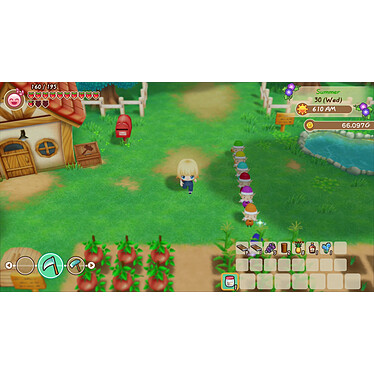 Avis Story of Seasons Friends of Mineral Town (SWITCH)