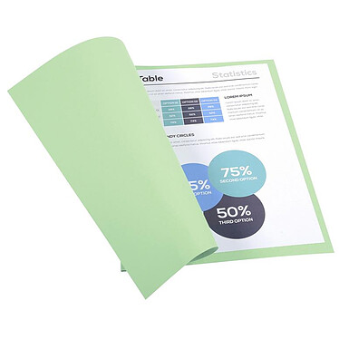 Avis EXACOMPTA Paquet de 100 chemises Forever® 220 100% recyclé 24x32cm Vert pré