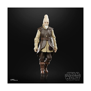 Acheter Star Wars Episode II Black Series - Figurine Ki-Adi-Mundi 15 cm