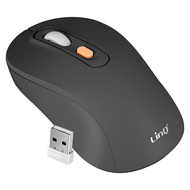 LinQ Souris Sans Fil Bluetooth ou WiFi 2.4Ghz Précision et Confort Noir