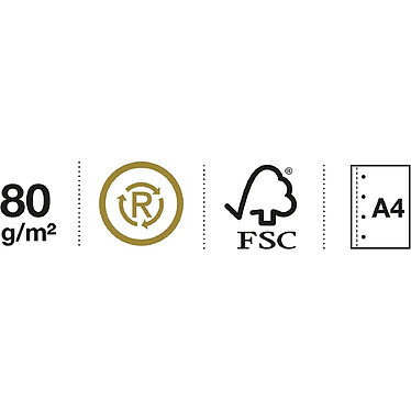 APLI Carnet recyclé A4 - 80 Pages 80 gr - Quadrillé 5x5 mm ECOMYSTIC pas cher