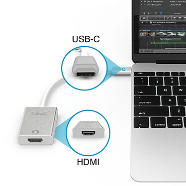 Avis LinQ Câble USB Type C Vers HDMI 4K Femelle Adaptateur Vidéo  15 cm Argent