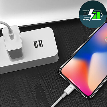 Acheter LinQ Câble USB-C vers Lightning 60W Charge et Synchro Fast Charge 3A 1.2m  Blanc