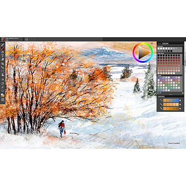 Avis Corel Painter Essentials 8 - Licence perpétuelle - 1 poste - A télécharger