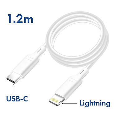 Avis Blue Star Câble USB C vers Lightning Power Delivery Transfert de Fichiers 1.2m Blanc