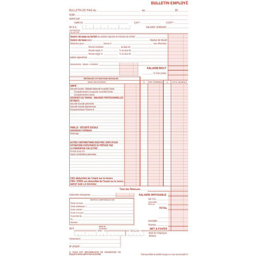 Avis ELVE Manifold Bulletin de Salaire 310x150 mm Nouveau Tracé 50 Dupli Autocopiant