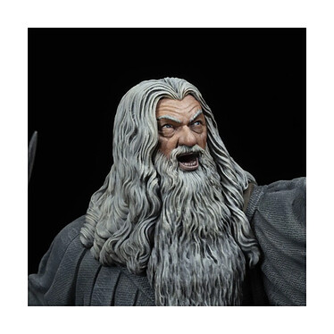 Avis Le Seigneur des Anneaux - Figurine Gandalf in Moria 18 cm