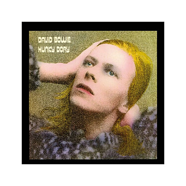 David Bowie - Puzzle Rock Saws Hunky Dory (500 pièces)