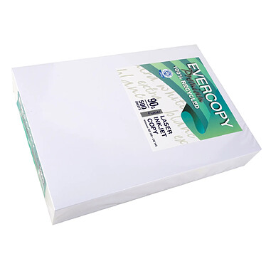 EVERCOPY Ramette 500 Feuilles Papier 90g A4 210x297 mm Certifié Ange Bleu Premium Blanc