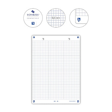 Acheter OXFORD Paquet de 32 Fiches Bristol revision 2.0 Perforées 148x210 mm A5 Q5/5 blanc