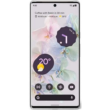 Google Pixel 6 Pro 128Go Blanc · Reconditionné