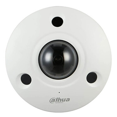 Dahua - Caméra Fisheye IP 12 MP IR 10M IP67 IK10