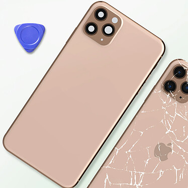 Acheter Clappio Châssis iPhone 11 Pro avec Vitre arrière de remplacement Rose Champagne