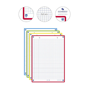 Acheter OXFORD Paquet de 32 Fiches Bristol revision 2.0 Perforées 148x210 mm A5 Q5/5 coloris assortis